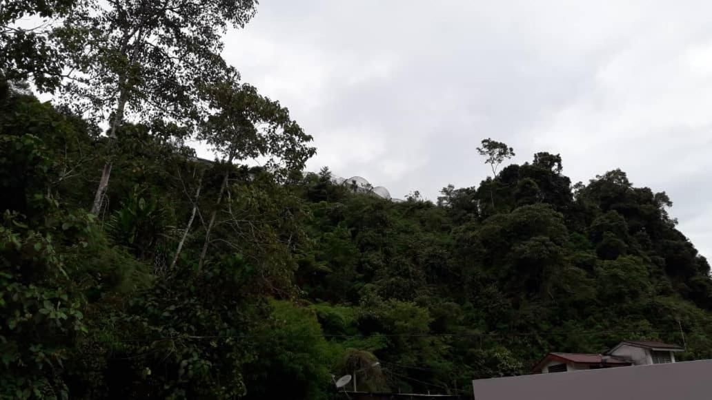 Aparthotel Tulip & Cameron Highlands